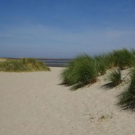 Nordseegluck *